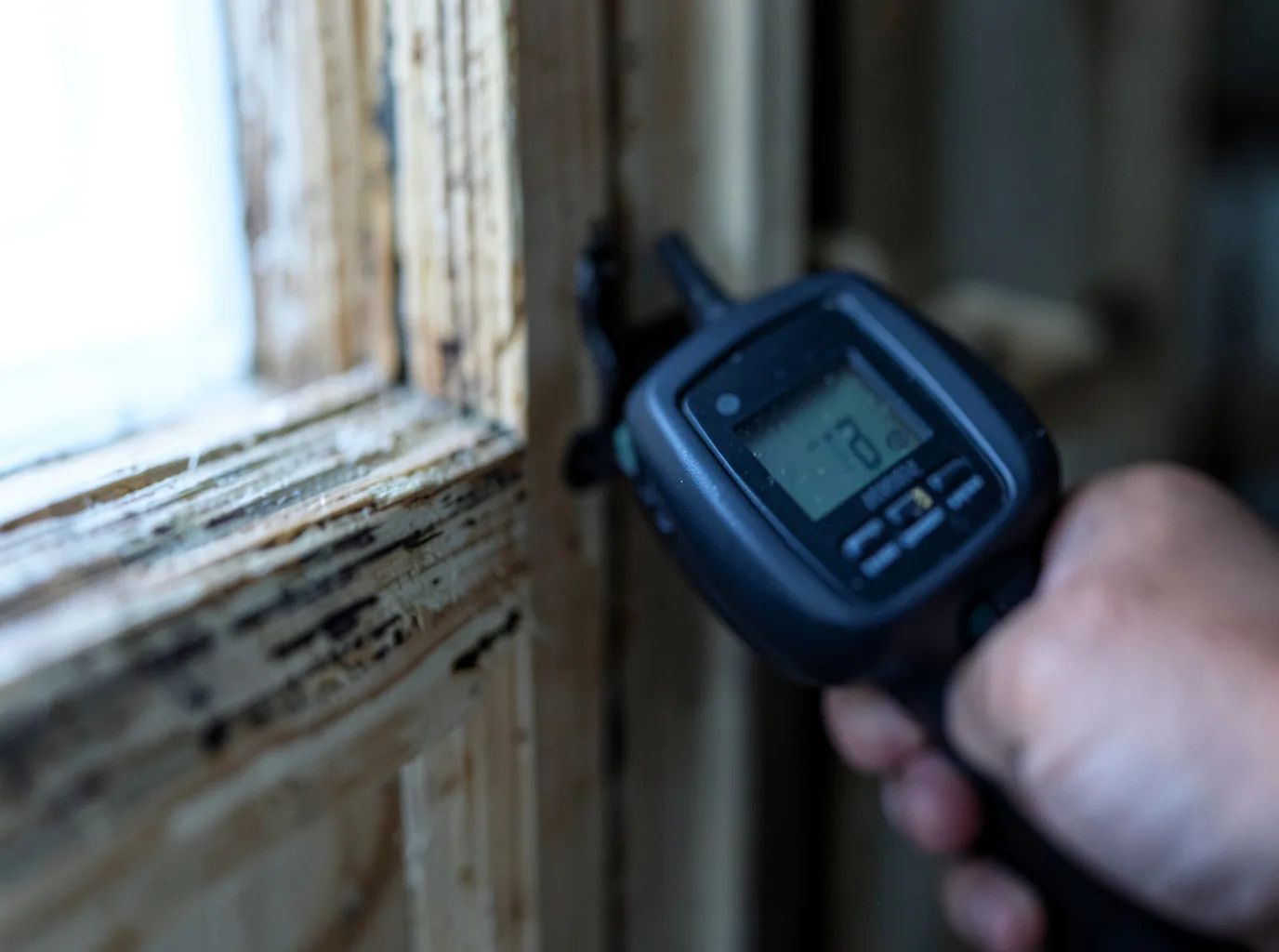 Commercial Water Damage Restoration in Shelburn, IN